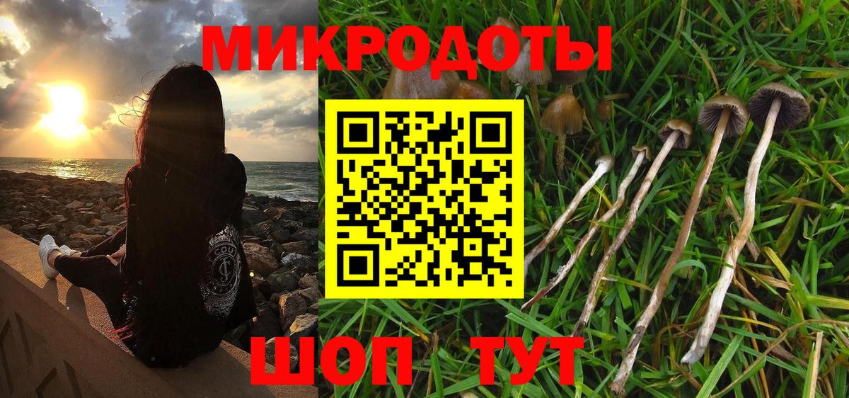 Галлюциногенные грибы ЛСД Качканар