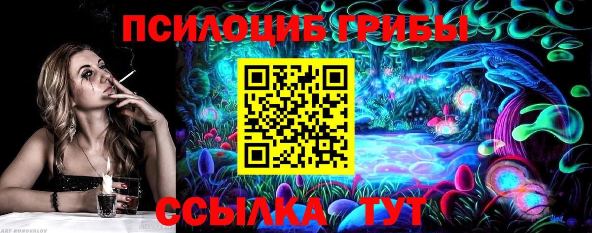 Качканар  Галлюциногенные грибы Magic Shrooms  Вход с VPN 