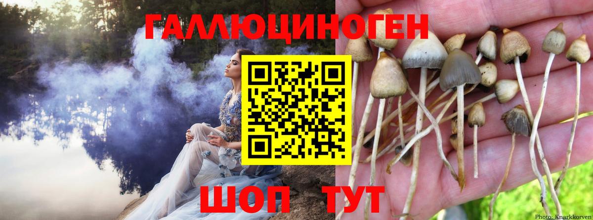 АМФ кристаллы  Вход с VPN  Конопля  Качканар  Мефедрон кристаллы  ГАШИШ  COCAIN 
